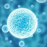 StemCells