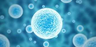 StemCells