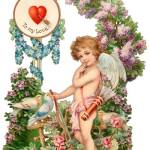Cupid