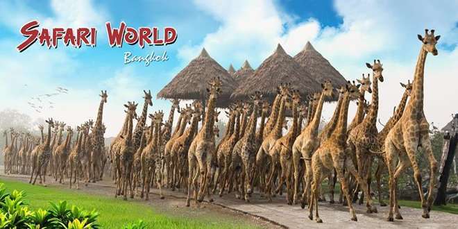 Safari world