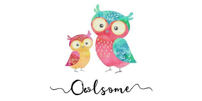 Owlsome Cafe