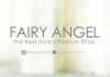 Fairy Angel