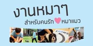 Pet Groomer