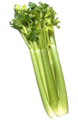 Celery