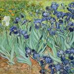 Irises by Vincent van Gogh