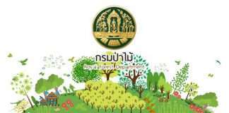 กรมป่าไม้