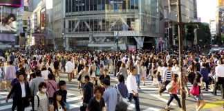 Traffic count-Daily Staff