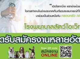 โรงพยาบาลสัตว์ไอเว็ท
