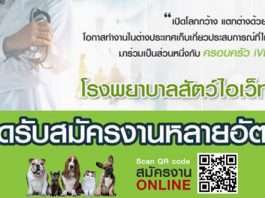 โรงพยาบาลสัตว์ไอเว็ท