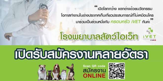 โรงพยาบาลสัตว์ไอเว็ท