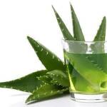 Aloevera