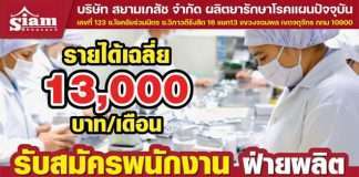 SIAM BHEASACH