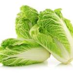 Chinesecabbage