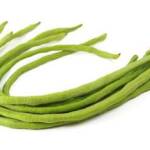 Yardlongbean
