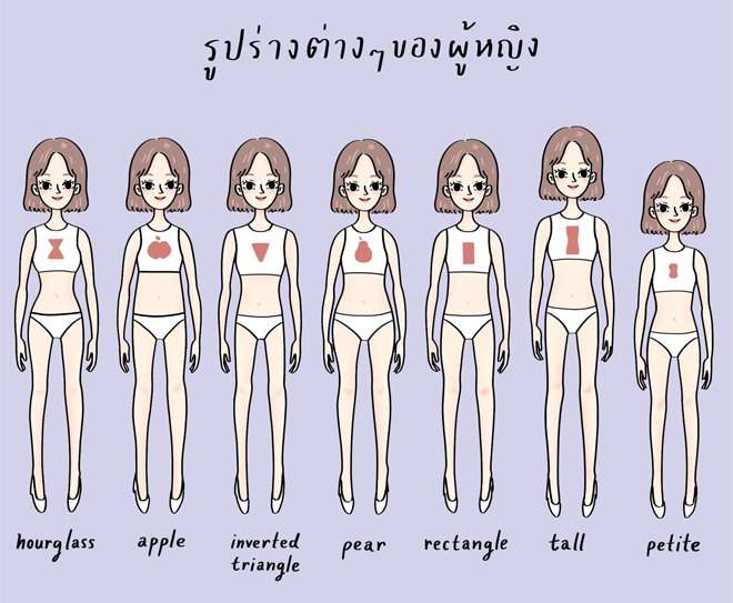 Body Shapes Of Women