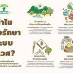 Ecosystem