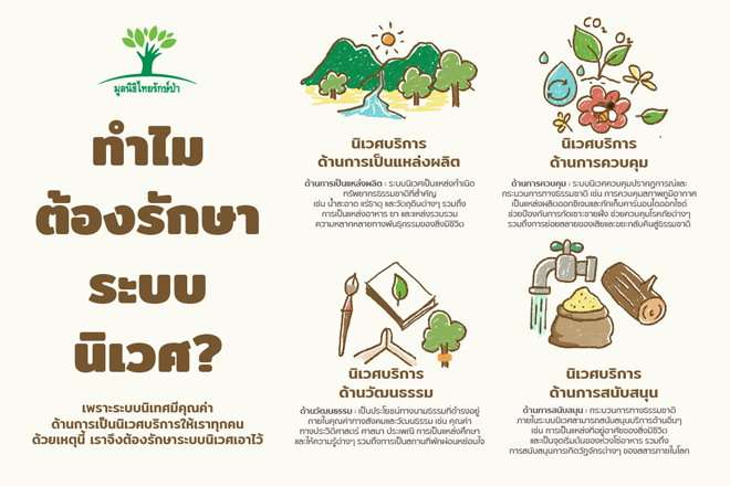 Ecosystem (รูปภาพจาก มูลนิธิไทยรักษ์ป่า)
