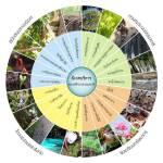 EcosystemService