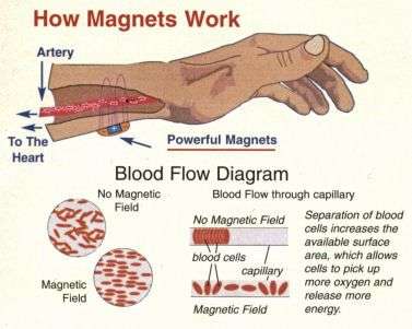Magnet Jewelry