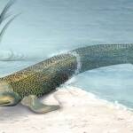 Tiktaalik