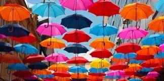 Umbrella