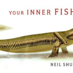 Your inner Fish