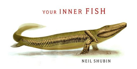 Your inner Fish