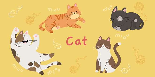 Cat Breed