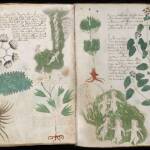 Voynich Manuscript