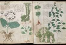 Voynich Manuscript