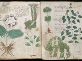 Voynich Manuscript