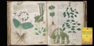 Voynich Manuscript