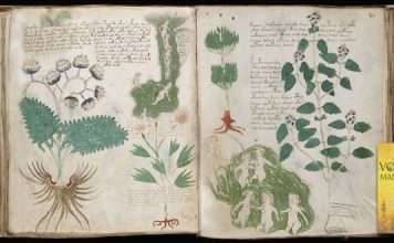 Voynich Manuscript