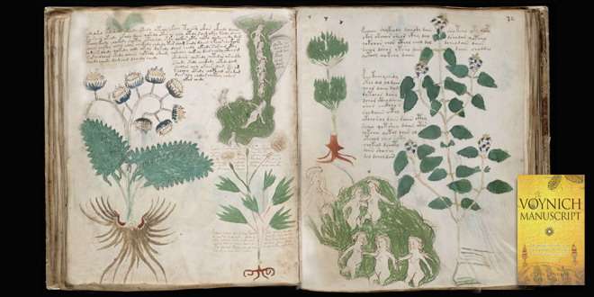 Voynich Manuscript