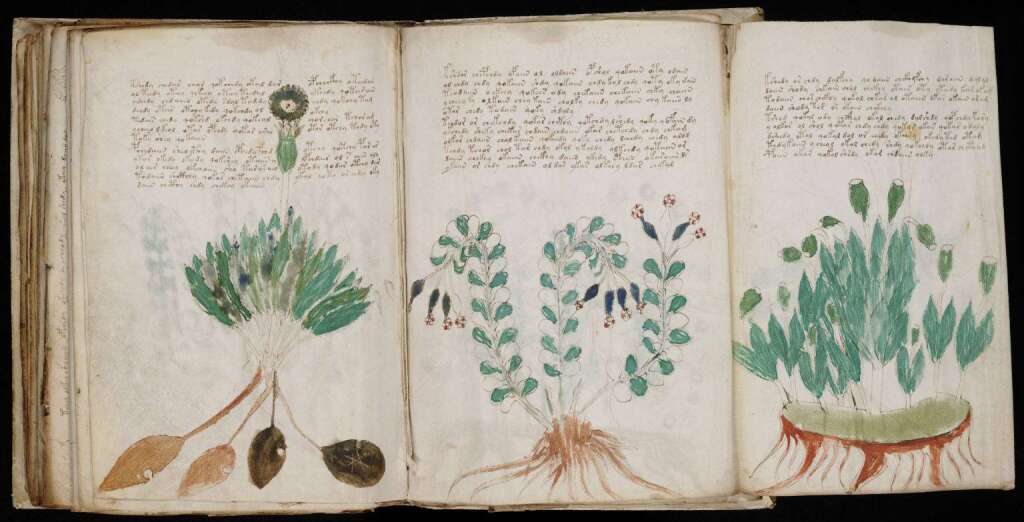 Voynich Manuscript 01