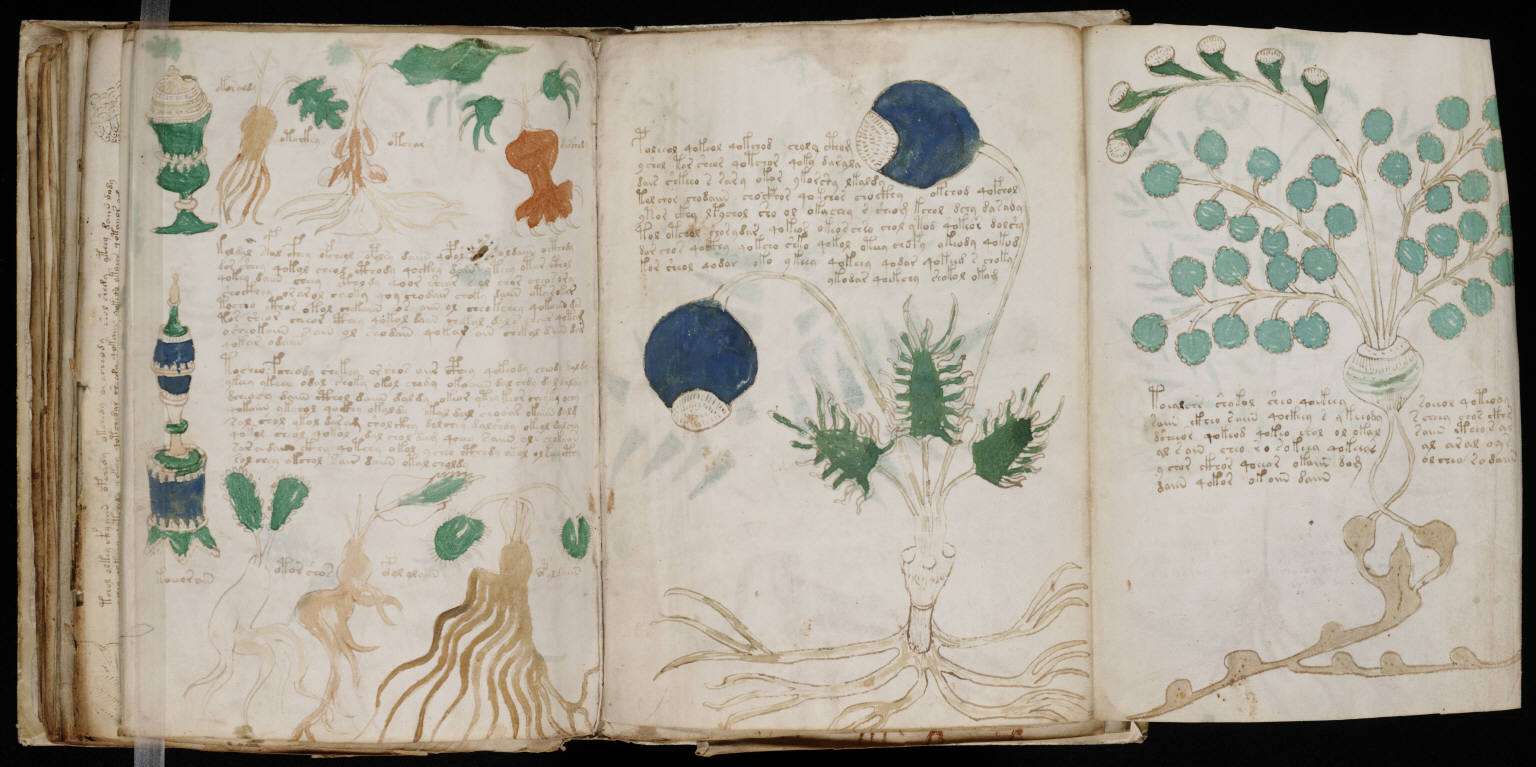 Voynich Manuscript 02