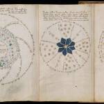 Voynich Manuscript 03
