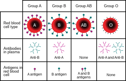 Blood group systems