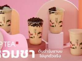 TP TEA Thailand