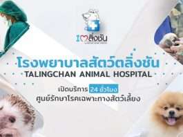 โรงพยาบาลสัตว์ตลิ่งชัน รับสมัครทีมงาน Social Media และ Marketing