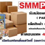 SMM PLUS
