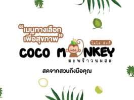 Coco Monkey